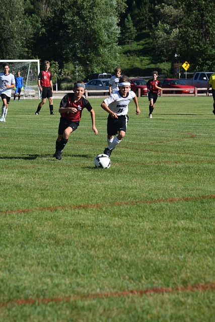 為整個賽事 為整個賽事