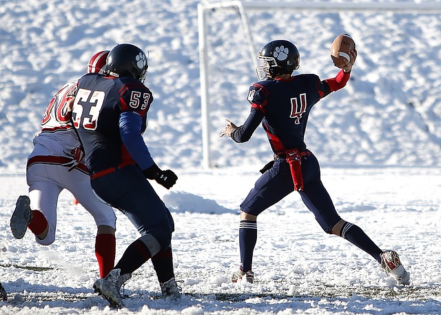 古德温的大 古德温的大