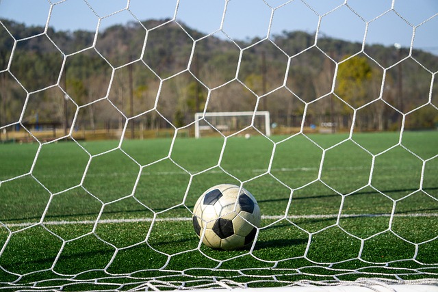 的平衡问题 的平衡问题