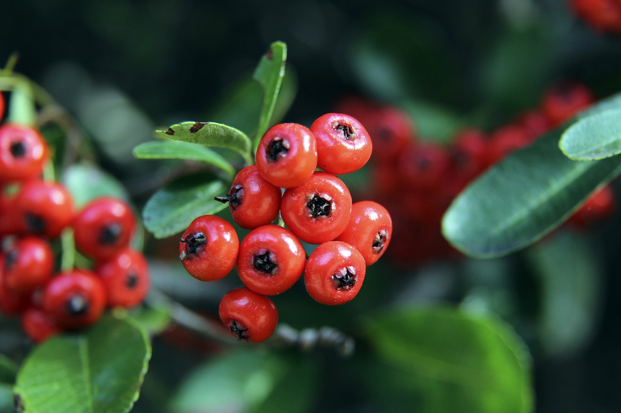 假摔得到第 假摔得到第