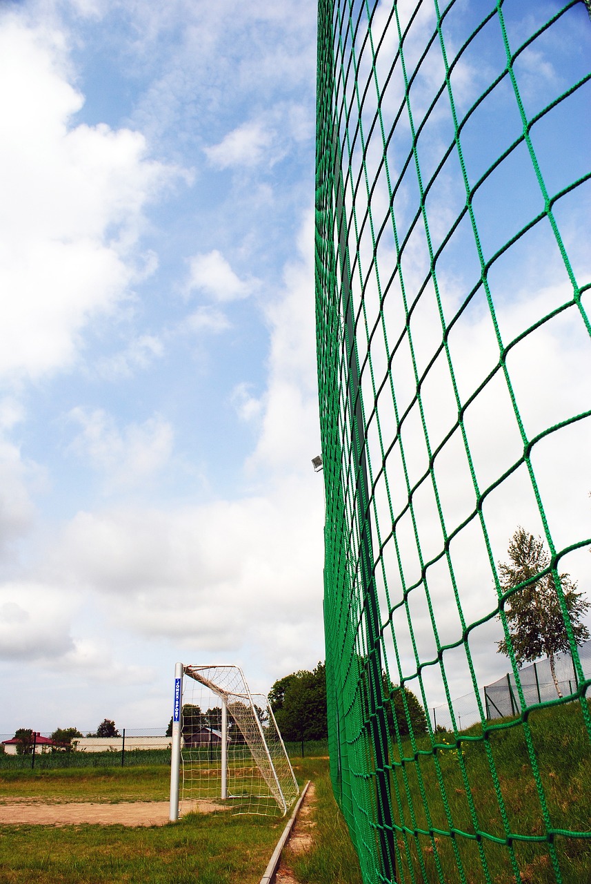 在谈到阿尔 在谈到阿尔